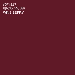 #5F1927 - Wine Berry Color Image